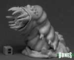 CARRION WORM